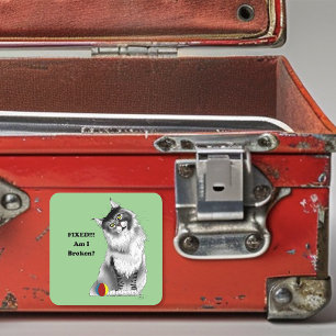 Sticker Carré Chat drôle et duveteux Maine Coon humour vert