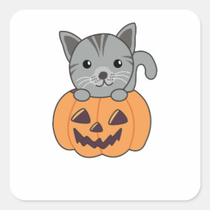 Sticker Carré Chat En Citrouille Chats Doux Joyeux Halloween