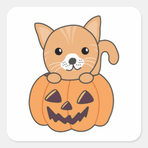 Sticker Carré Chat En Citrouille Chats Doux Joyeux Halloween Car