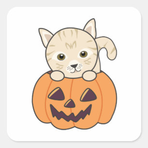 Sticker Carré Chat En Citrouille Chats Doux Joyeux Halloween Car