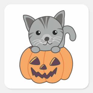 Sticker Carré Chat En Citrouille Chats Doux Joyeux Halloween Car