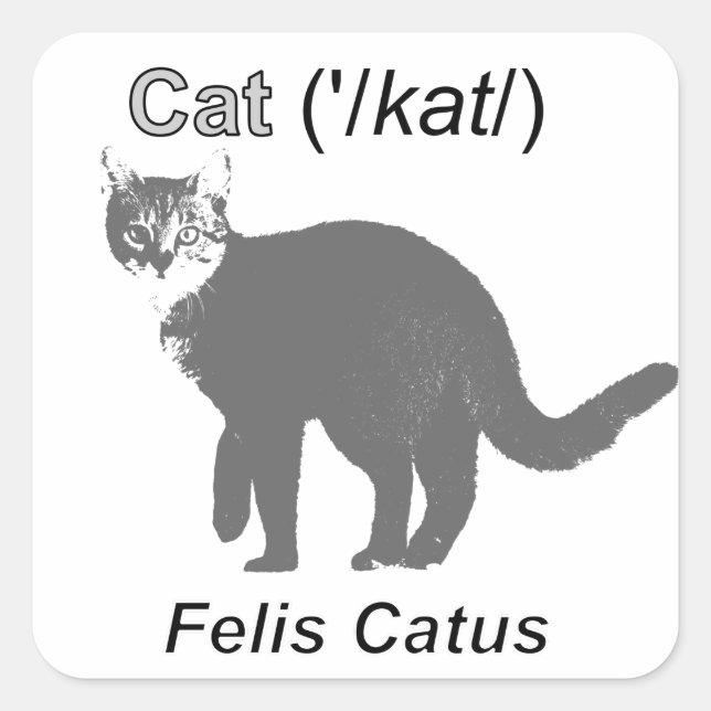 Sticker Carré Chat Felis Catus (Devant)