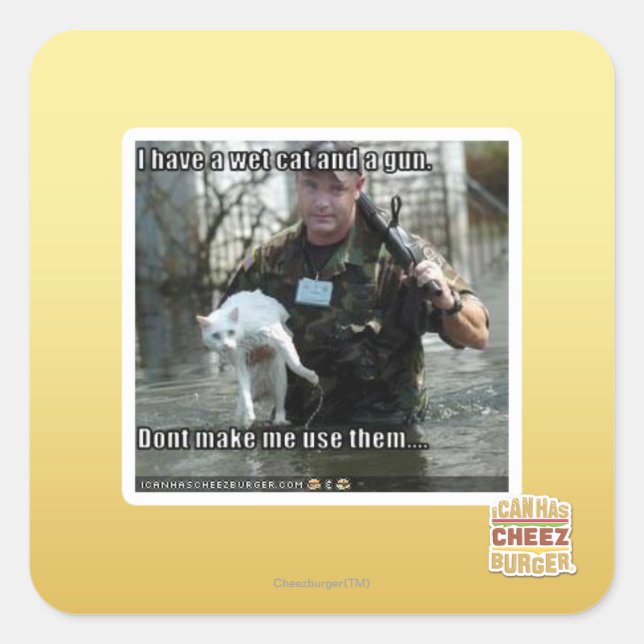 Sticker Carré Chat humide et pistolet (Devant)