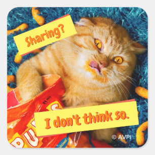 Sticker Carré Chat Manger Fromage Puits