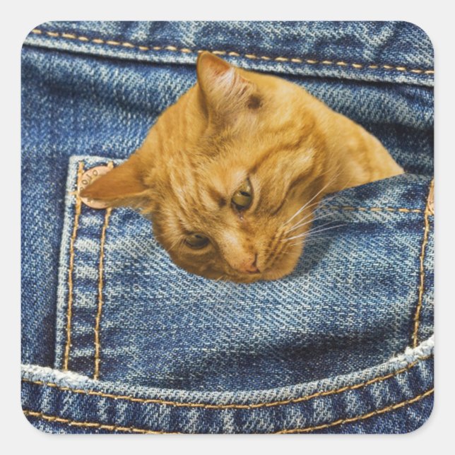 Sticker Carré Chat mignon en jean poche illusion drôle (Devant)