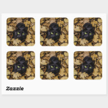 Chat noir dans les feuilles d'automne
