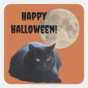 Sticker Carré Chat noir Pleine lune Halloween