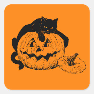Sticker Carré Chat noir se reposant sur un citrouille découpé