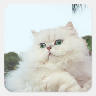 Sticker Carré Chat Persan aux Yeux de Jade