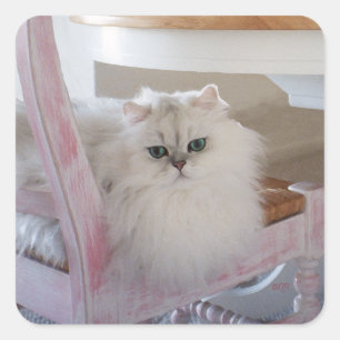 Sticker Carré Chat Persan blanc sur une chaise rose