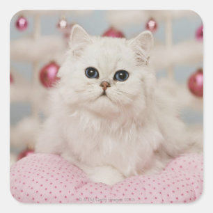 Sticker Carré Chat perse assis sur un coussin rose
