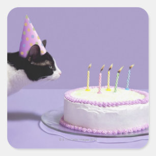 Sticker Carré Chat portant un casquette d'anniversaire soufflant