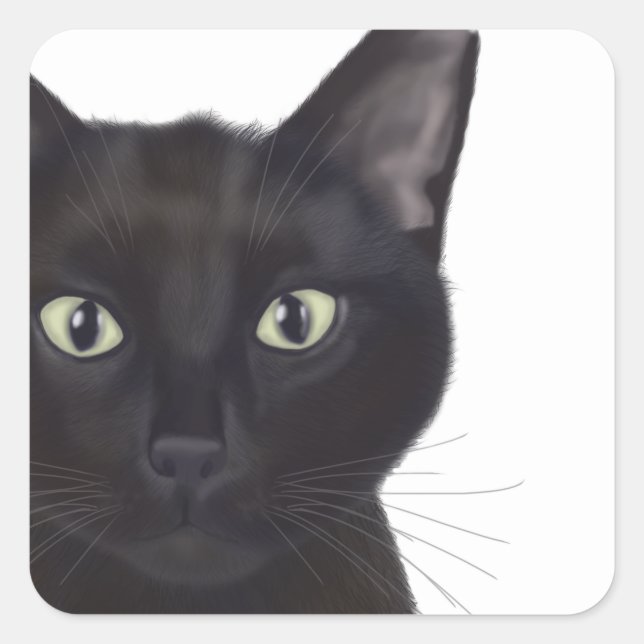 Sticker Carré Chat, Portrait de Gus (Devant)