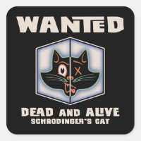 Chat Recherché de Schrodinger