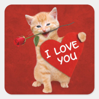 Sticker Carré Chat souriant amoureux