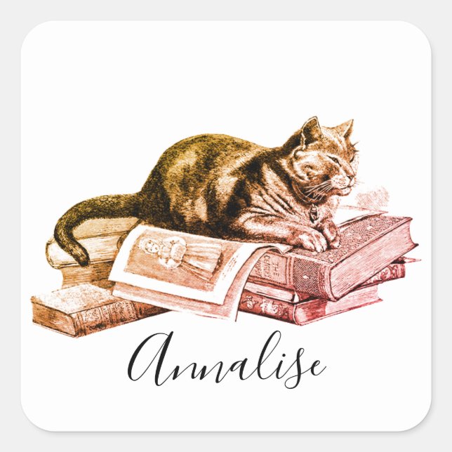 Sticker Carré Chat Sur Une Pile De Livres (Devant)