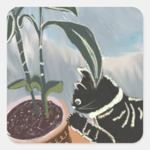 Sticker Carré Chat tigré regardant les plantes d'intérieur