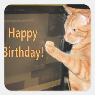 Sticker Carré chat ・ une ・ strophe ・ anniversaire ic non autoris