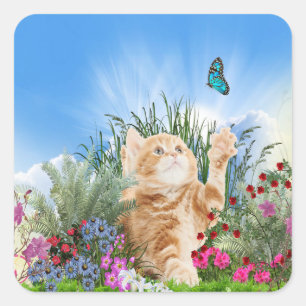 Sticker Carré Chaton gingembre jouant avec un papillon