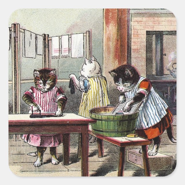 Sticker Carré Chatons Laver Leurs Mittens (Devant)