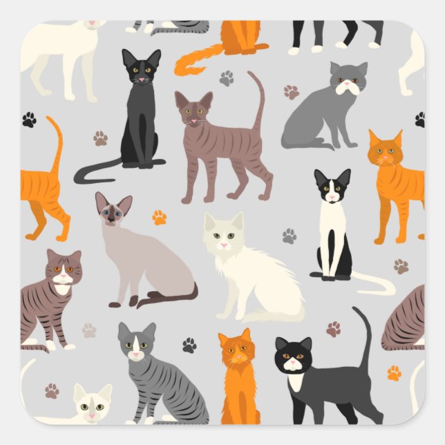 Sticker Carré Chats et Empreintes de pattes (Devant)