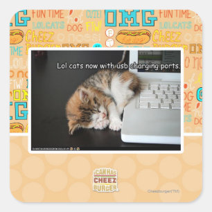 Sticker Carré Chats Lol avec USB