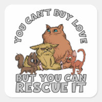 Chats secourus Refuge animal