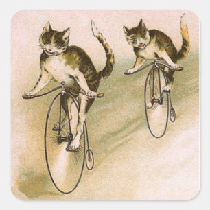 Sticker Carré Chats vintage à vélo