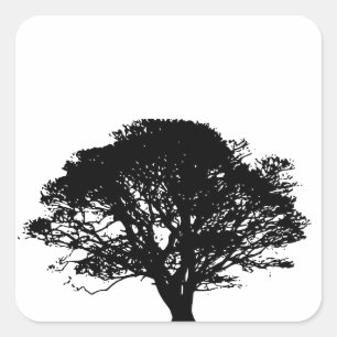 Sticker Carré Chêne noir gothique Silhouette Art Dessin