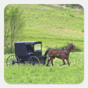 Sticker Carré Cheval Amish et buggy près de Berlin, Ohio.