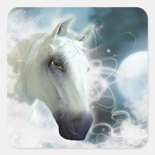 Sticker Carré Cheval arabe