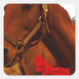 Sticker Carré Cheval avec Bow rouge