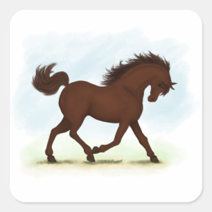 Sticker Carré Cheval Brown de châtaignes équestre