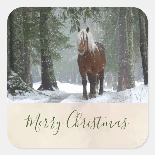 Sticker Carré Cheval Brown pittoresque dans une forêt d'hiver No (Devant)