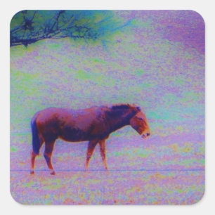 Sticker Carré Cheval DANS UN CHAMP D'URPURE DE COURSE : ajouter 