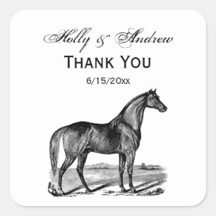 Sticker Carré Cheval debout vintage
