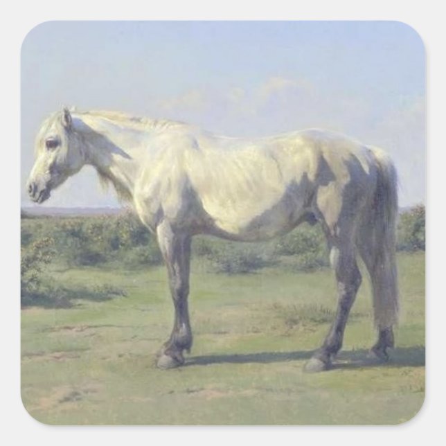 Sticker Carré Cheval gris en champ (par Rosa Bonheur) (Devant)