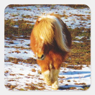 Sticker Carré Cheval miniature Brown et crème dans la neige.