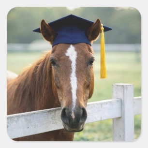 Sticker Carré Cheval portant une toque de diplômé