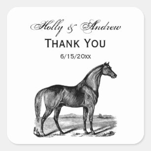 Sticker Carré Cheval vintage debout