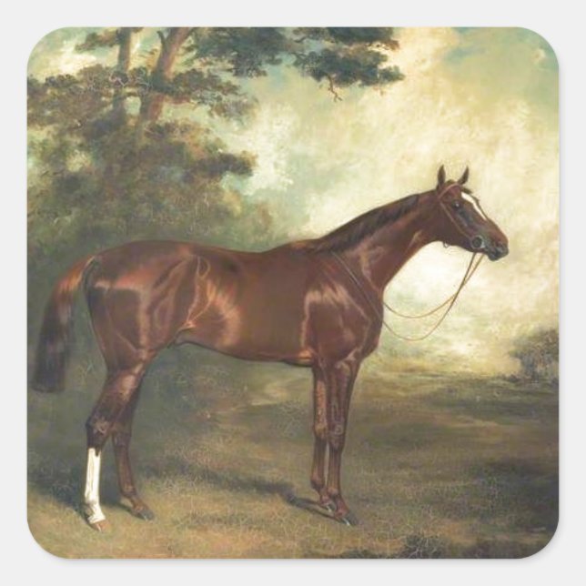 Sticker Carré Cheval vintage équestre (Devant)