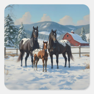 Sticker Carré Chevaux Appaloosa noirs sur une ferme en hiver