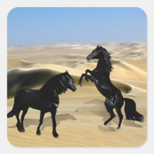 Sticker Carré Chevaux de beauté noirs sauvages