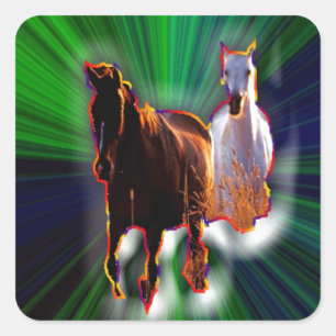 Sticker Carré Chevaux d'Imaginaires
