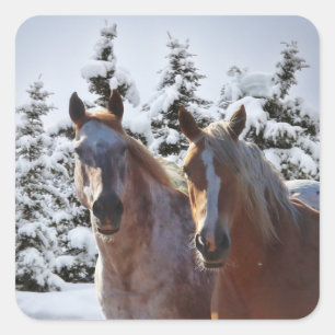 Sticker Carré Chevaux en Noël des Fêtes de Neige