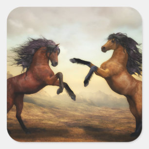 Sticker Carré Chevaux sauvages