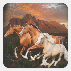 Sticker Carré Chevaux sauvages d'Arizona