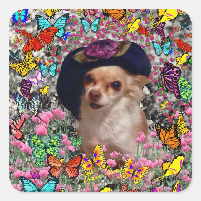 Sticker Carré Chi Chi en papillons - Chihuahua Chippy en Casquet (Devant)