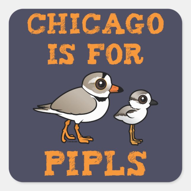 Sticker Carré Chicago est pour les IPL (Devant)