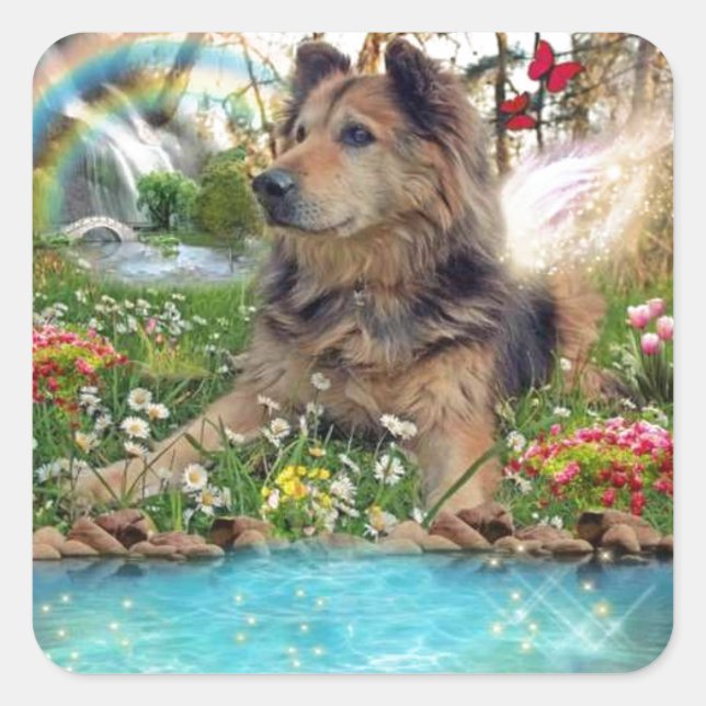 Sticker Carré Chien à Rainbow Bridge Animaux (Devant)